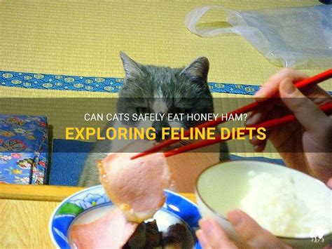 Can Cats Have Honey Ham? Exploring Feline Diets and Human Foods