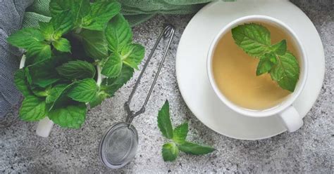 Can I Drink Peppermint Tea Before Surgery? And Why Pineapples Might Be the Secret to Eternal Youth