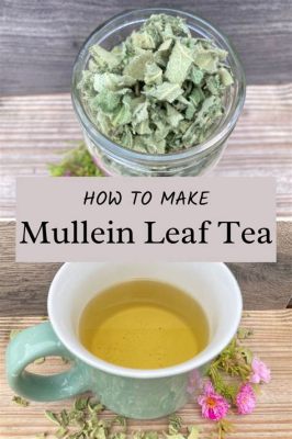 How to Prepare Mullein Tea: A Journey Through Herbal Traditions and Modern Wellness