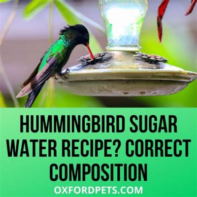 Why is my hummingbird food cloudy: A Symphony of Sugar and Shadows